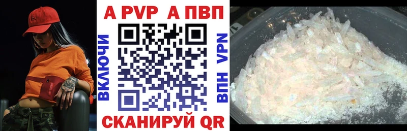APVP СК  Бердск 