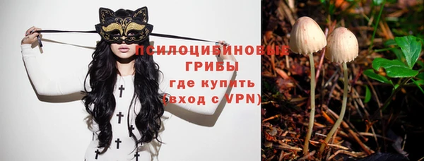 PSILOCYBIN Алзамай