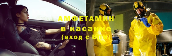 PSILOCYBIN Алзамай