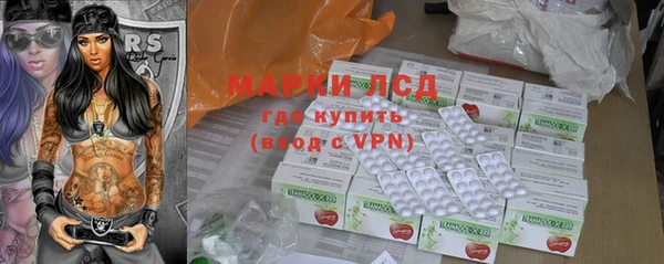 PSILOCYBIN Алзамай