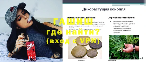 PSILOCYBIN Алзамай