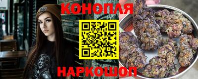 jwh Бердск