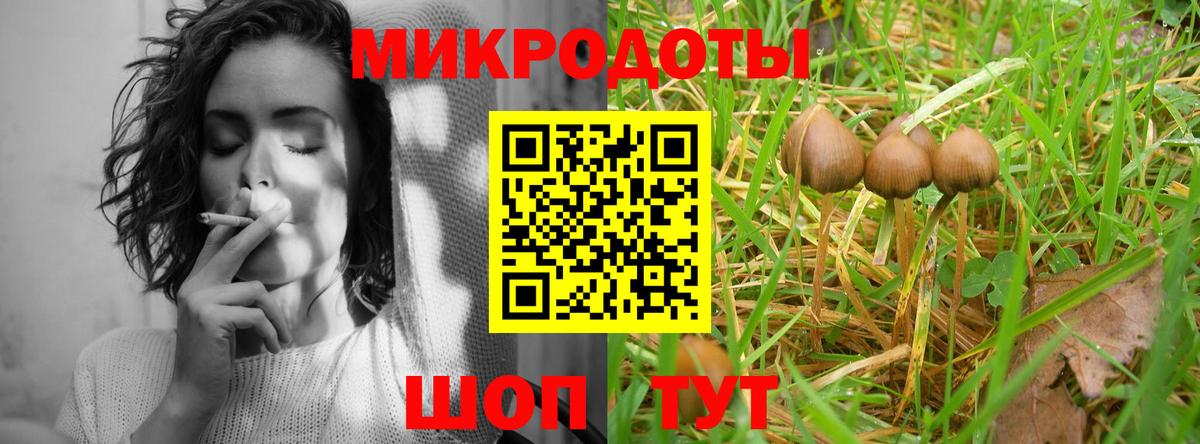 Псилоцибиновые грибы Psilocybine cubensis  Галлюциногенные грибы мицелий  даркнет сайт  Бердск  Вход с VPN 