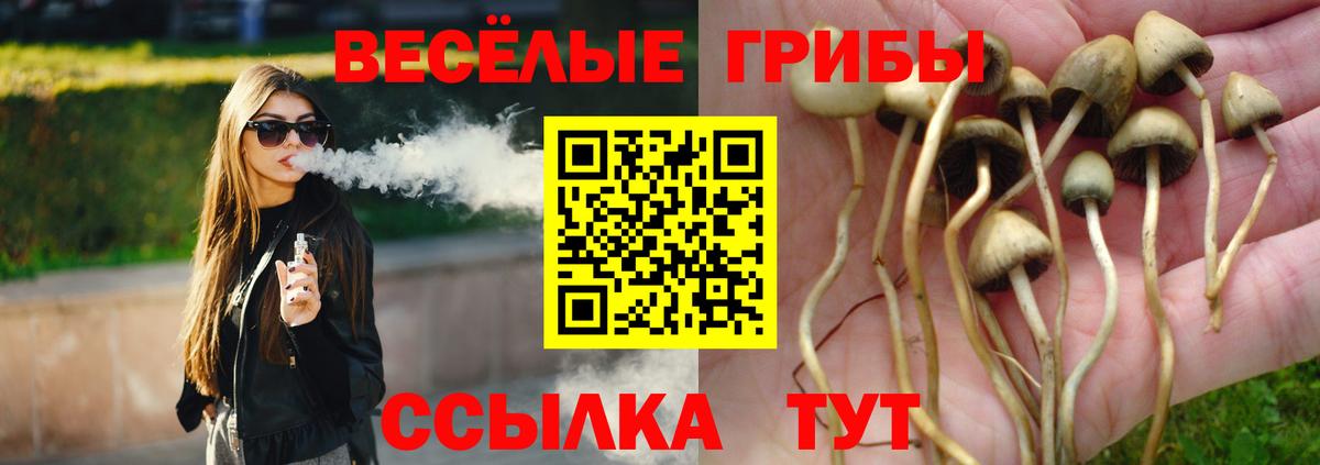 Псилоцибиновые грибы GOLDEN TEACHER Бердск