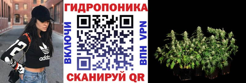 omg вход  Бердск  Канабис Amnesia 